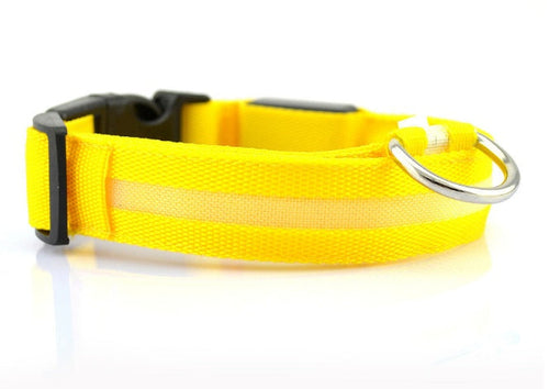 LED hundehalsbånd – USB Rechargeable Safety Collar for Night Walks
