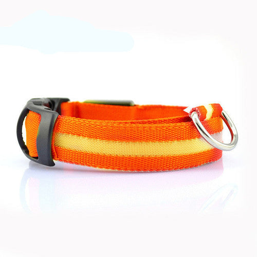 LED hundehalsbånd – USB Rechargeable Safety Collar for Night Walks