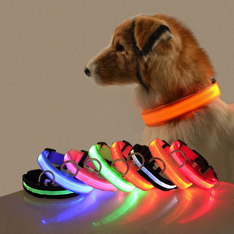 LED hundehalsbånd – USB Rechargeable Safety Collar for Night Walks